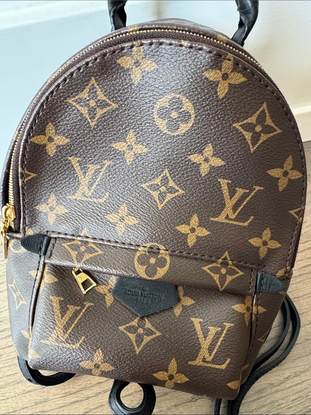 Louis Vuitton classic louis